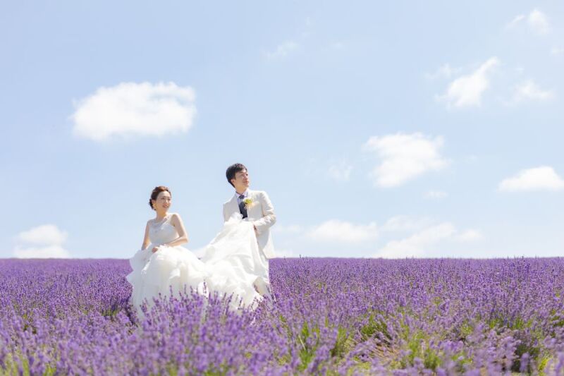 丘のうえを選んだ理由