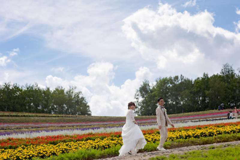 虹のような花畑