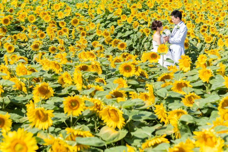 フォトウェディングへのこだわり