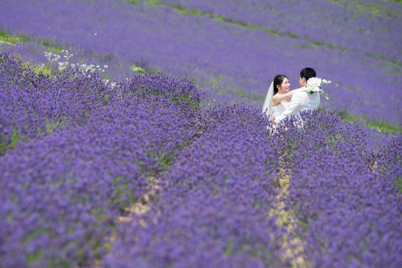 丘のうえを選んだ理由