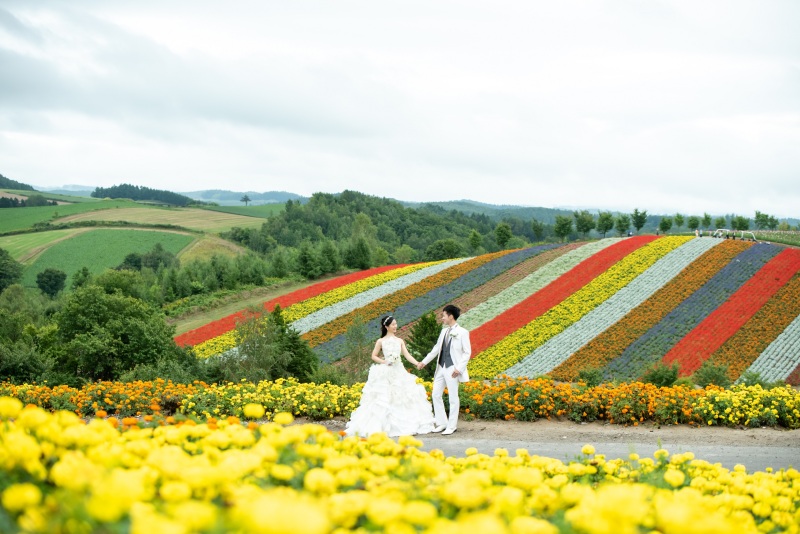 丘のうえを選んだ理由２