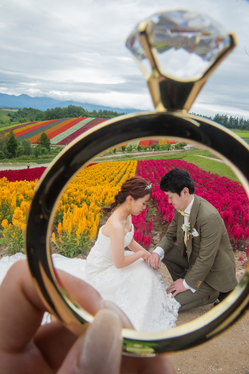 丘のうえを選んだ理由