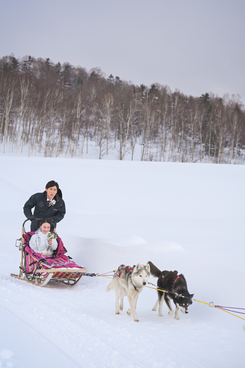 しっかり走ります