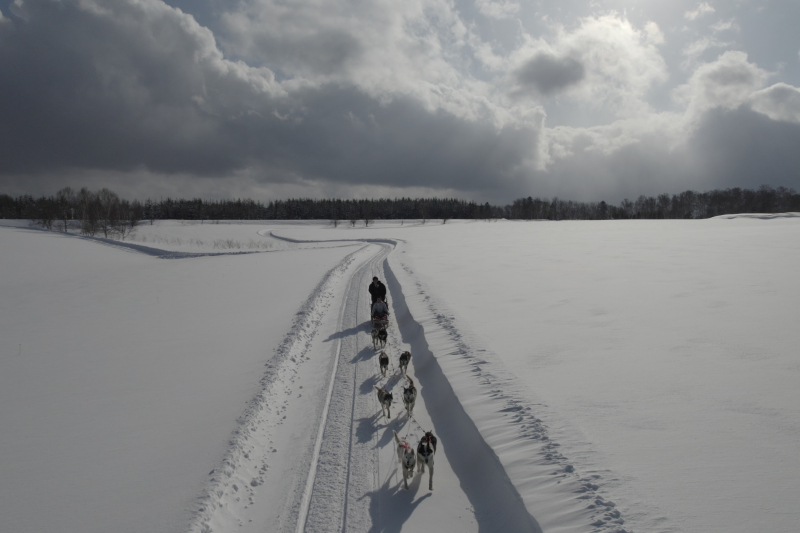 プラン以外の要望を可能にする提案力