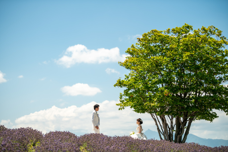 美瑛・富良野といえばお花畑やラベンダーのガーデン
