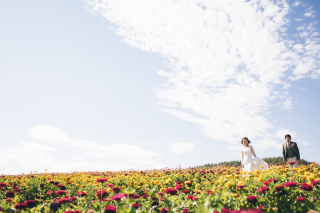 丘のうえ（Hills Studio）