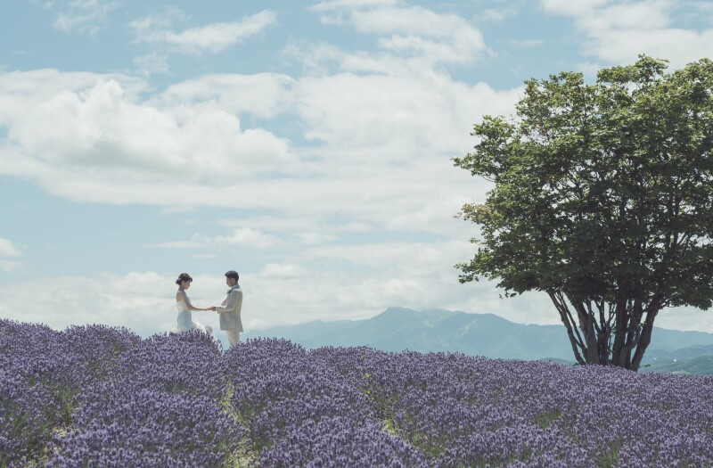 丘のうえ（Hills Studio）_マタニティ用ドレスがある