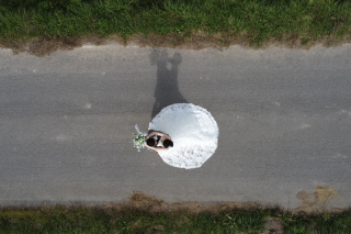 丘のうえ（Hills Studio）