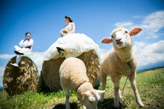 丘のうえ（Hills Studio）