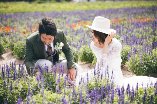 丘のうえ（Hills Studio）