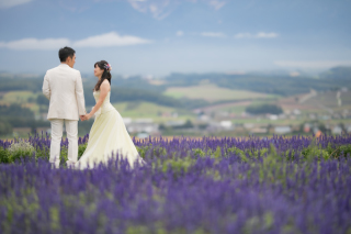 丘のうえ（Hills Studio）