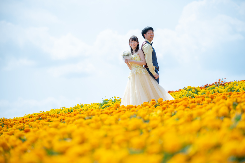 丘のうえ(Hills Studio)_ガーデンで撮影できる