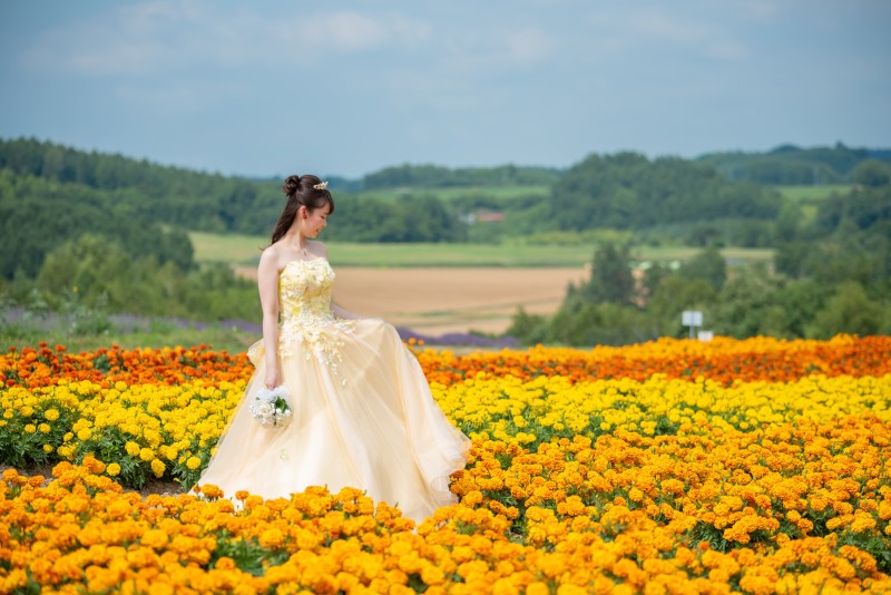 専門店の国産ブランドカラードレスが豊富