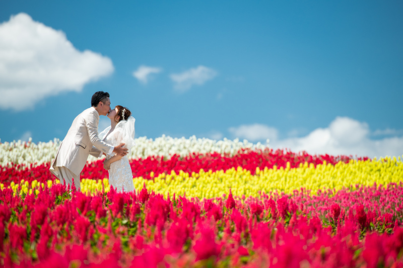 空の余白、カラフルがあふれる大地それが北海道