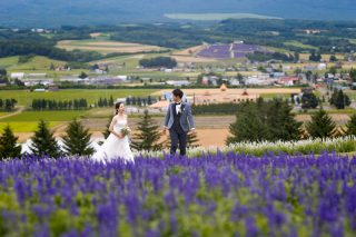 丘のうえ（Hills Studio）_美瑛＆富良野、千代田牧場、フラワーランド、1本道