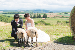 丘のうえ（Hills Studio）_丘のうえWedding Party オープニング