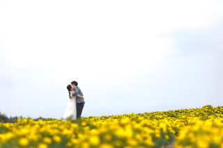 丘のうえ（Hills Studio）_美瑛＆富良野、千代田牧場、フラワーランド、1本道