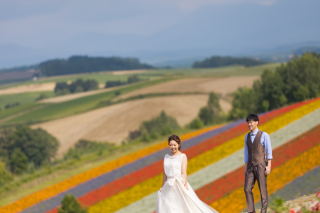 丘のうえ（Hills Studio）_丘のうえ　青い池、千代田ファーム、四季彩の丘