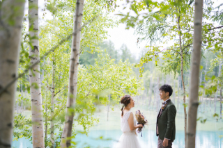 丘のうえ（Hills Studio）_丘のうえ　青い池、千代田ファーム、四季彩の丘