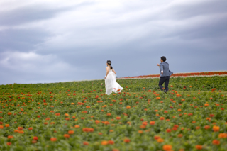 丘のうえ（Hills Studio）_美瑛＆富良野、千代田牧場、フラワーランド、1本道