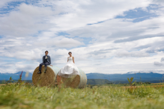 丘のうえ（Hills Studio）_美瑛＆富良野、千代田牧場、フラワーランド、1本道