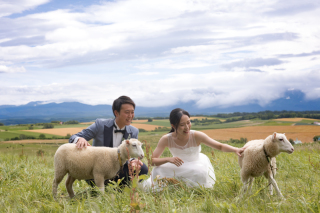 丘のうえ（Hills Studio）_美瑛＆富良野、千代田牧場、フラワーランド、1本道