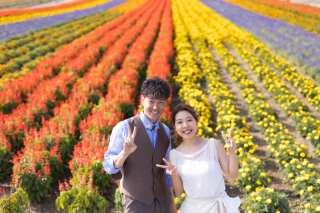 丘のうえ（Hills Studio）_丘のうえ　青い池、千代田ファーム、四季彩の丘