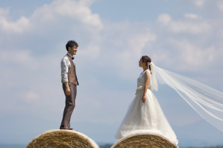 丘のうえ（Hills Studio）_丘のうえ　青い池、千代田ファーム、四季彩の丘