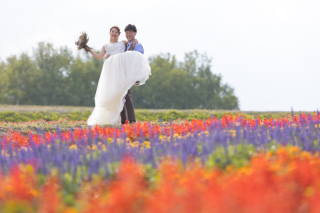 丘のうえ（Hills Studio）_丘のうえ　青い池、千代田ファーム、四季彩の丘