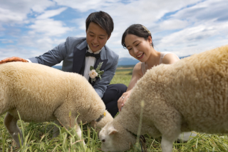 丘のうえ（Hills Studio）_美瑛＆富良野、千代田牧場、フラワーランド、1本道