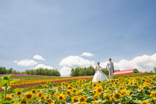 動画編集タイプドローン付き