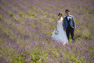 ラベンダー畑で撮影