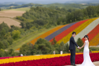 両親プレゼント用CDサイズミニアルバム1冊20P