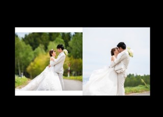 アルバムページ増(10ページ毎)