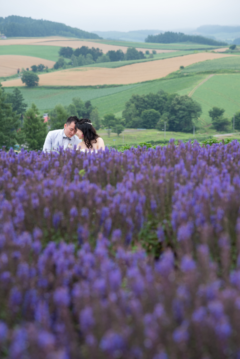 なぜ美瑛・富良野は愛される？