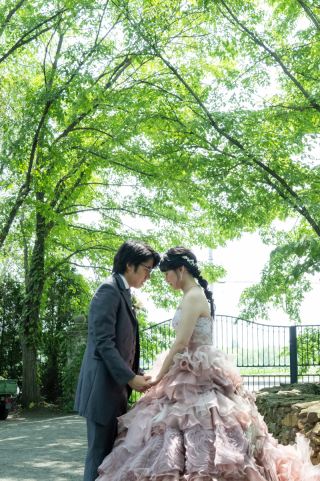 丘のうえ（Hills Studio）_上野ファーム