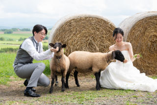 丘のうえ(Hills Studio)_ファームズ千代田