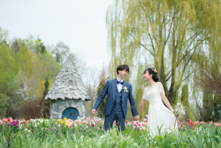 丘のうえ（Hills Studio）_上野ファーム