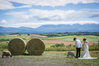 丘のうえ(Hills Studio)_ファームズ千代田