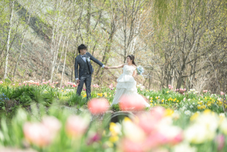 丘のうえ（Hills Studio）_上野ファーム