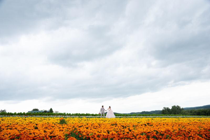 丘のうえ(Hills Studio)_動画を作れる