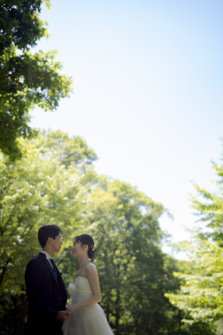 丘のうえ（Hills Studio）_富良野、鳥沼公園