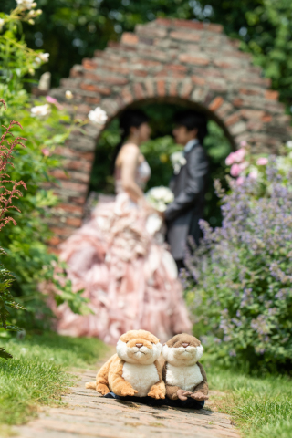 丘のうえ（Hills Studio）_上野ファーム