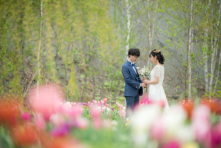 丘のうえ（Hills Studio）_上野ファーム