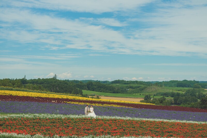 丘のうえ(Hills Studio)_ガーデンで撮影できる