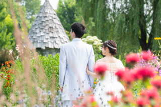 丘のうえ（Hills Studio）_上野ファーム