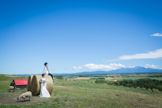 丘のうえ(Hills Studio)_ファームズ千代田