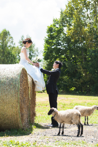 丘のうえ(Hills Studio)_ファームズ千代田