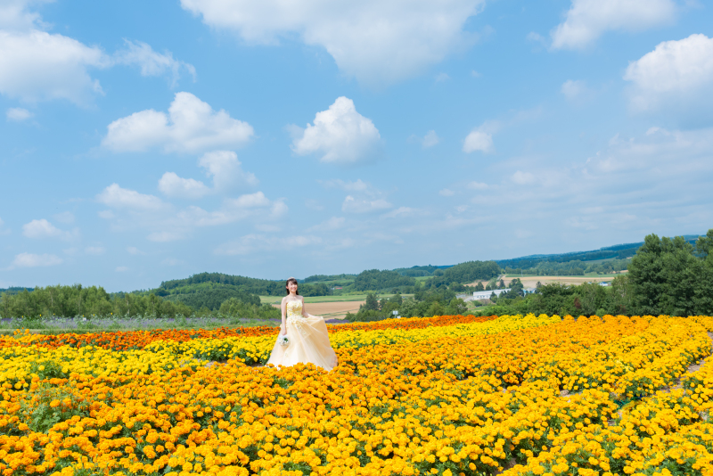 丘のうえ(Hills Studio)_ウエディングドレスが豊富