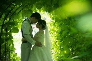 丘のうえ（Hills Studio）_上野ファーム